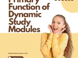 primary function of dynamic study modules