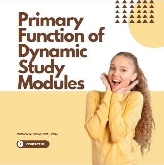 primary function of dynamic study modules