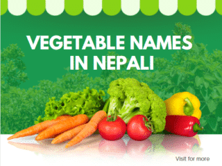 Nepali Vegetable Name in English
