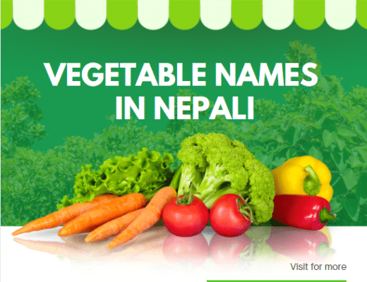 Nepali Vegetable Name in English