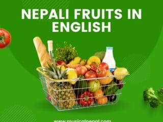 Nepali fruits in English